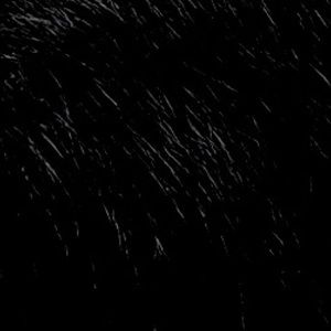 Meet your Posher, Keller